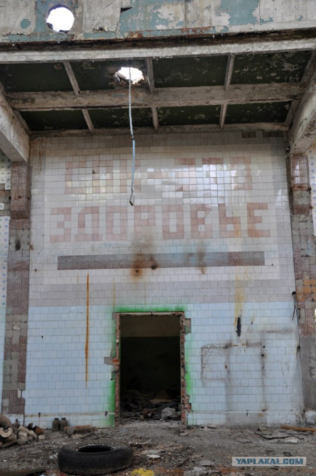 Семикаракорский консервный завод