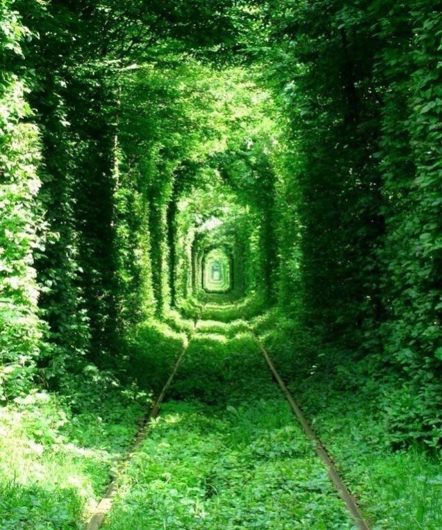 Моменты, запечатлённые на фото и просто позитив 5