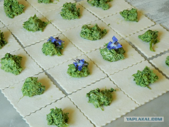 Травяные пельмени с коноплей