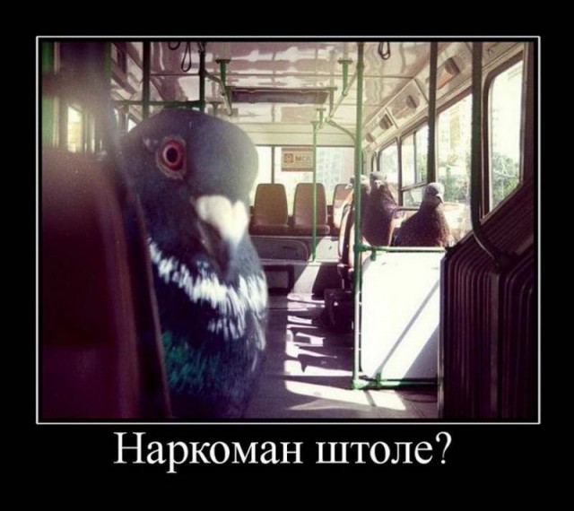 Журнал Школьный Деградант