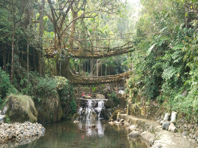 К живым мостам и обратно. Заметки из Индии