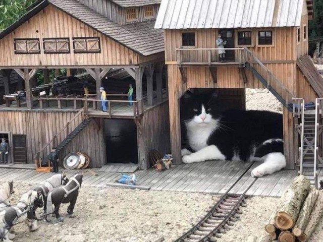Фотографии, в которых нет ничего удивительного. Хотя погодите
