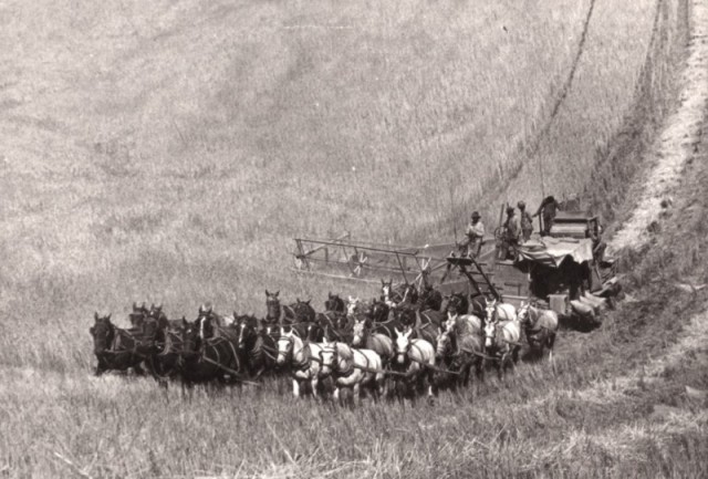 История в фотографиях