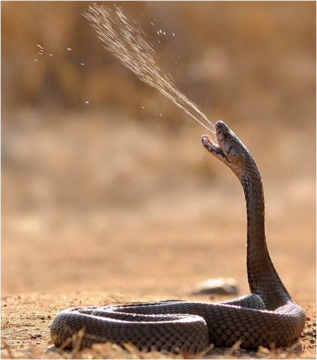 Подборка интересных и веселых картинок