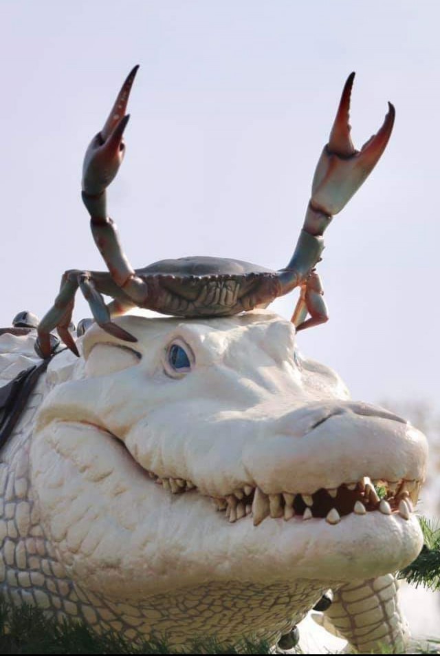 Живность из сети
