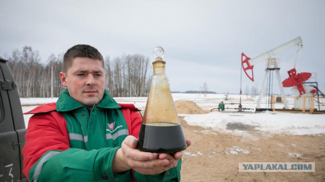 Белорусы высказались о присоединении к России