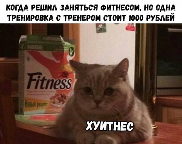 Прикольные картинки абавсём