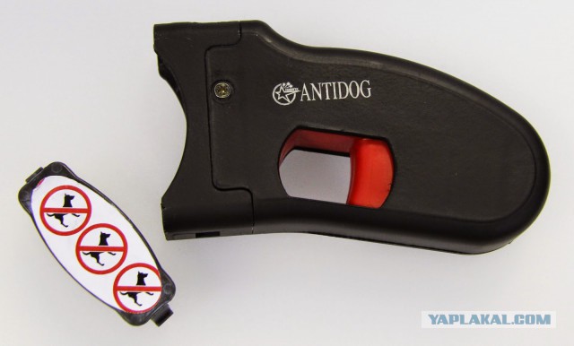 В Самаре стая бродячих собак напала на девушку, это увидели парни на машине и решили не проезжать мимо