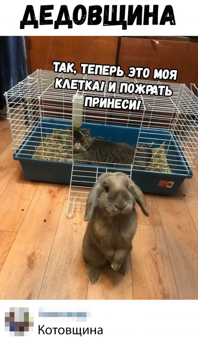 Нестандартный юмор