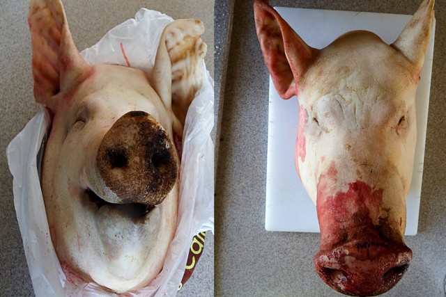 Уголок гастронома... Porchetta di Testa.