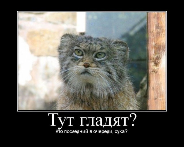 Кого звать, если...