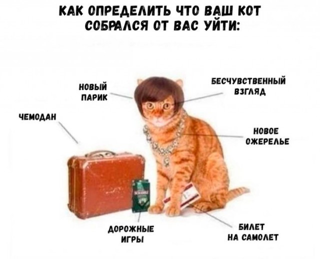 Картинки с надписями и анекдоты