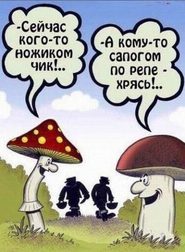 Лечим воскресное похмелье дубиной деградации