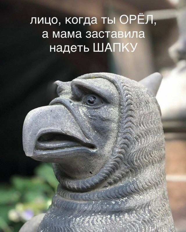 Картинки на воскресный день