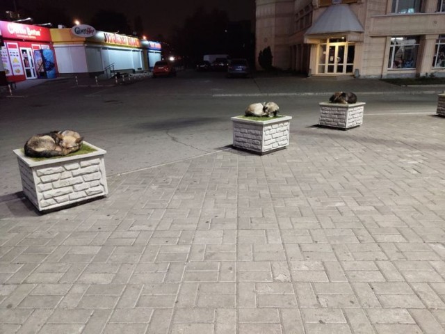 Подборка неинтересных и унылых картинок 09.11.19