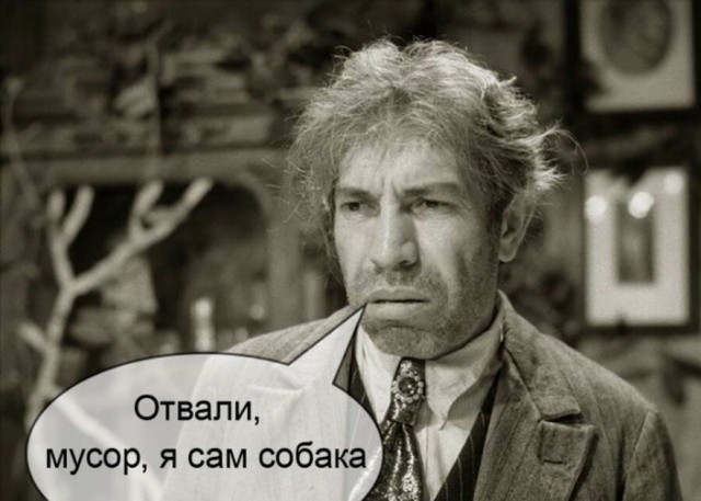 Картинки из рабочего чата 23.04