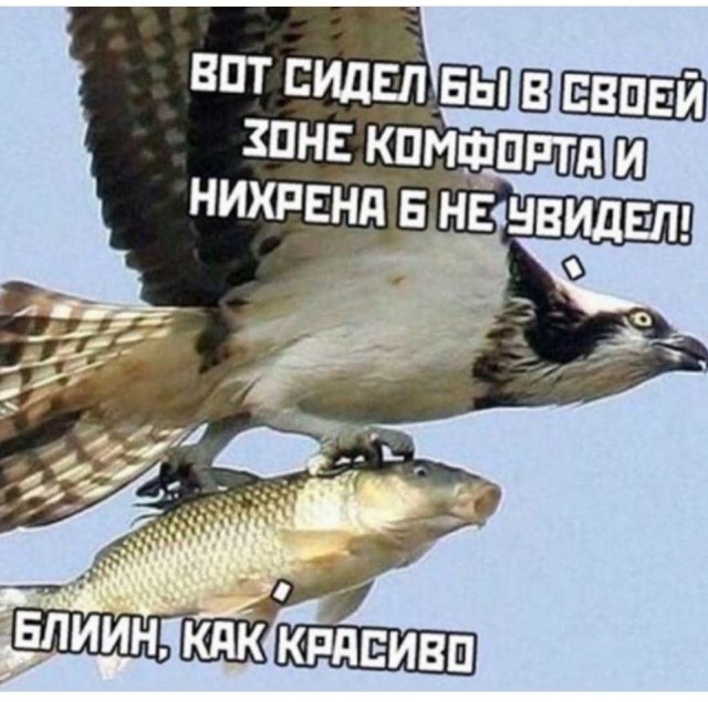 Бредзона 23.04.20