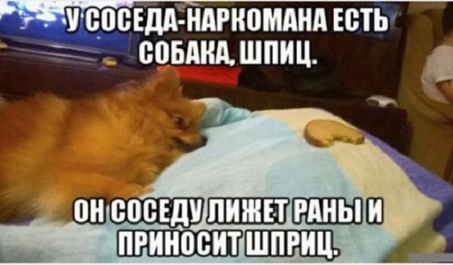 Чуток картинок 21.06.20