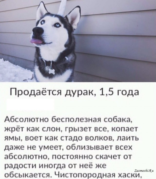 Быть милым и придурком одновременно