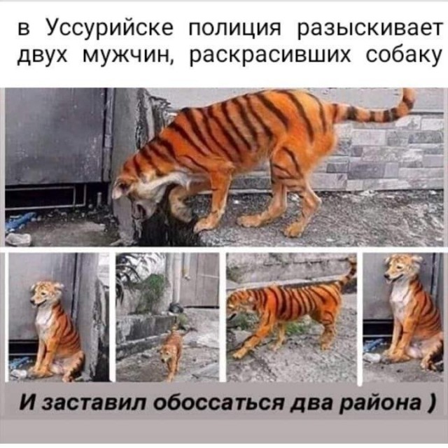 Бредзона 03.12.20