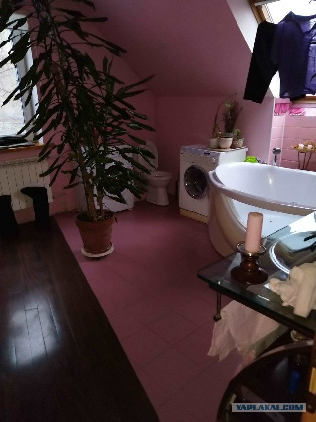 6 главных причин, почему женщинам не нравится борода