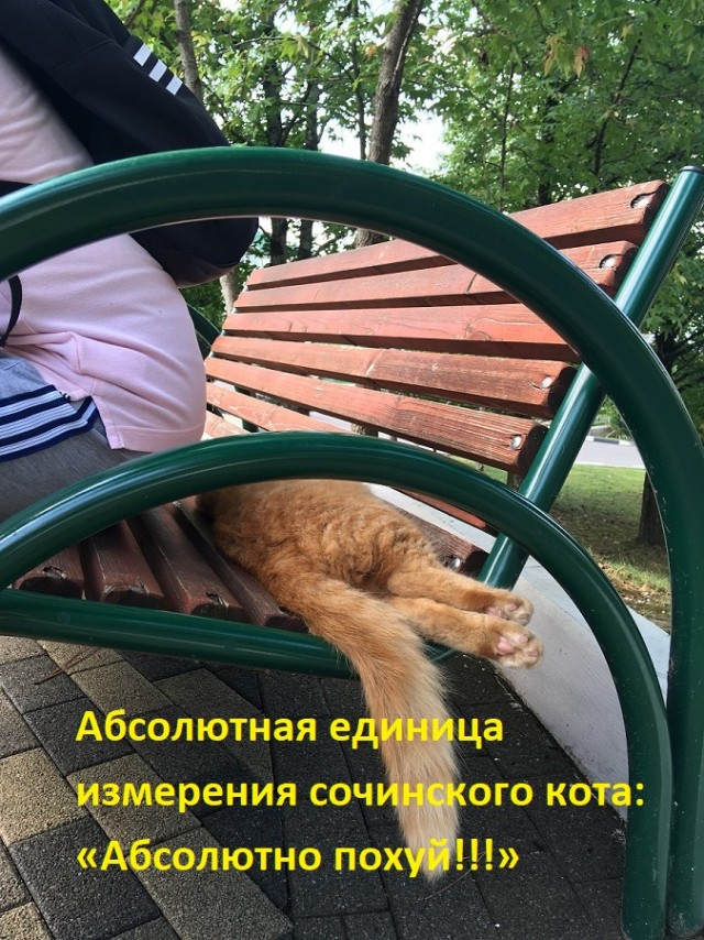 Уличные котаны