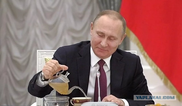 Как бухать на видеоконференции без подозрений