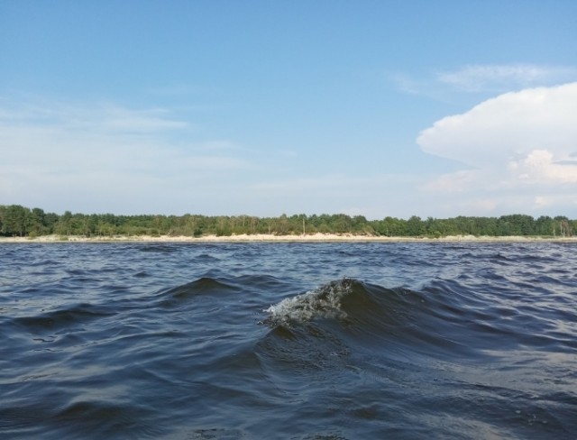 Яичница на песке