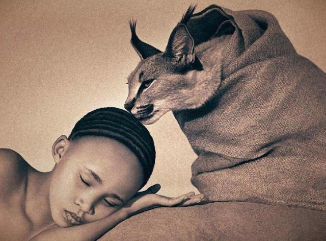 Завораживающие работы от Gregory Colbert.