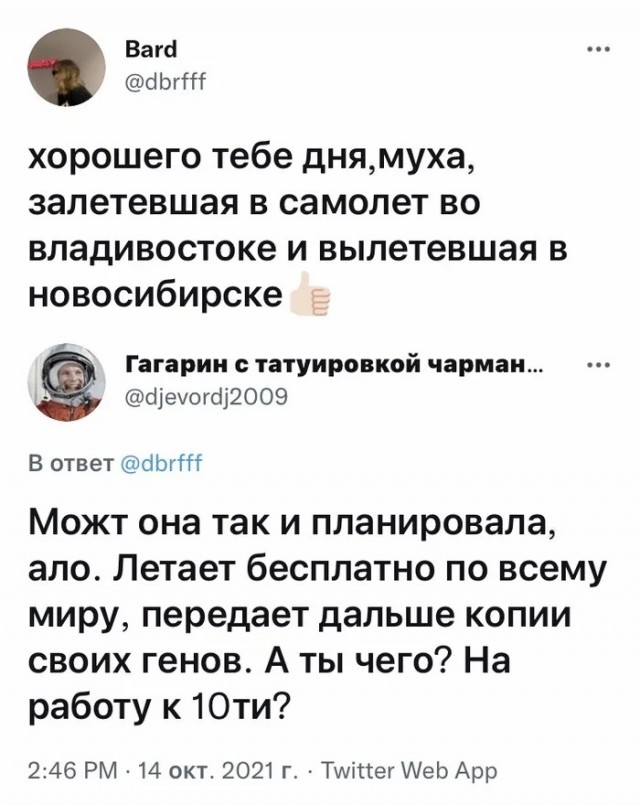Картинки и мемы для настроения 13.10.2021