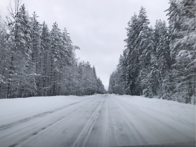 Не корона, не куркод, не казахи. Глянь на снежную сказку