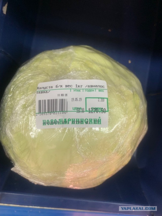Кабачки по цене говядины