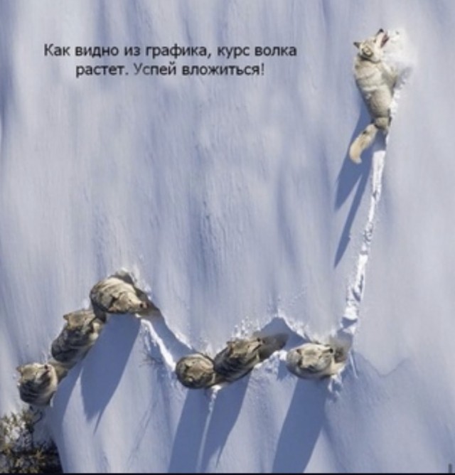 Так себе картинки 11.06.22