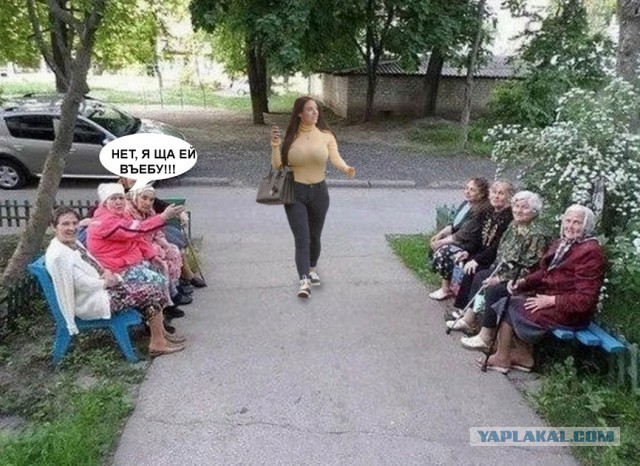 Фотожаба "Баба ягодка опять"
