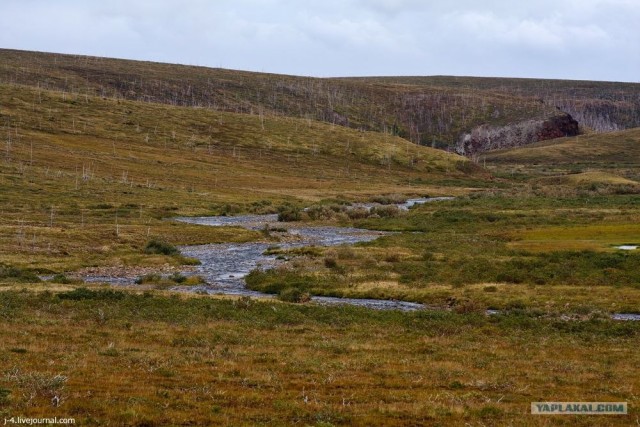 За Полярным кругом. Норильск. Тундра.
