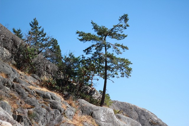 Деревенская Америка