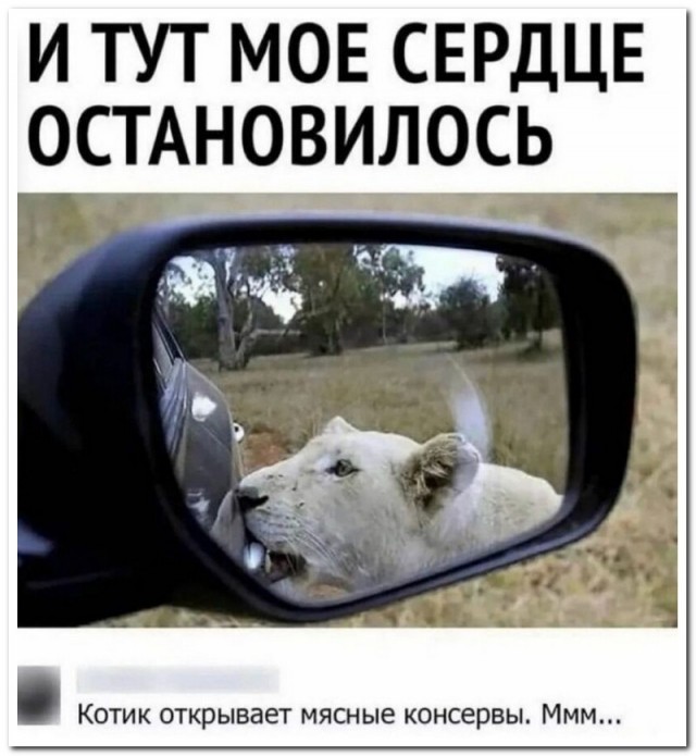 Скриншоты и комментарии из социальных сетей 10.09.22