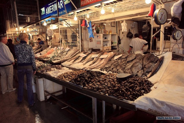 Южно-Американский дневник. Чили. сантьяго