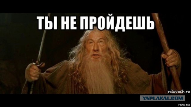 Депутат Матвеев внес в Думу проект об освобождении докторов и кандидатов наук от мобилизации, а также неслуживших