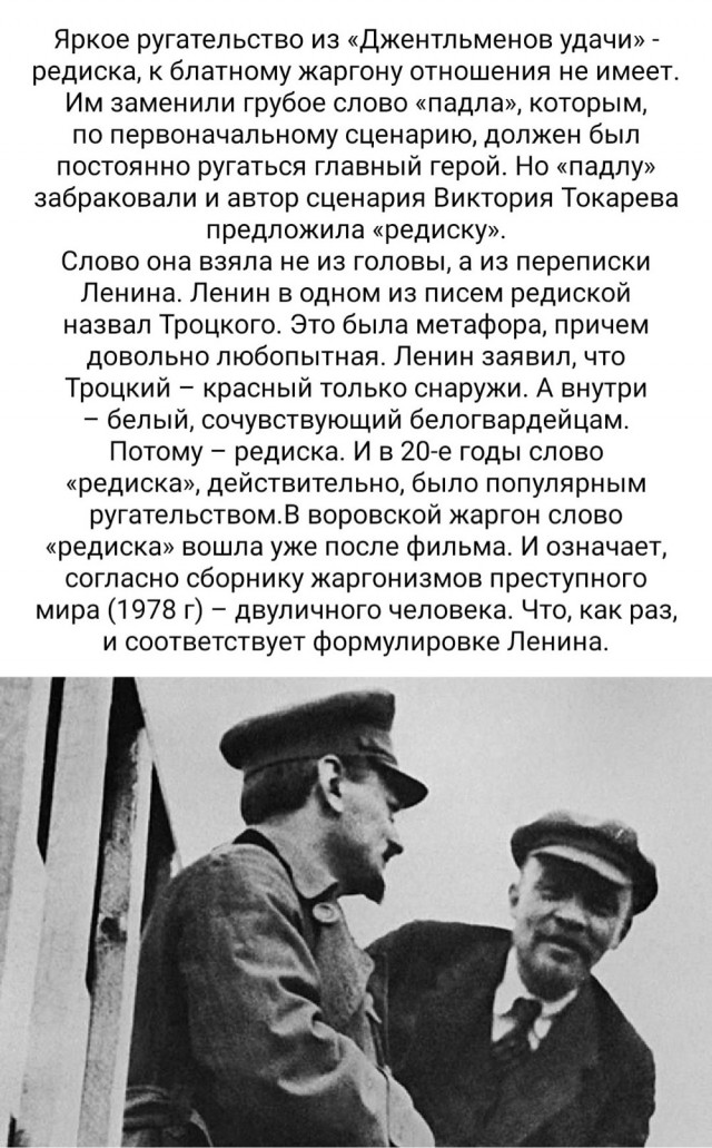 50 оттенков серого или самосвал баянов. Vol.28