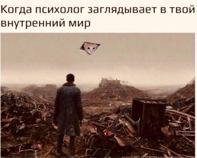 Картинки и мемы для настроения - 123