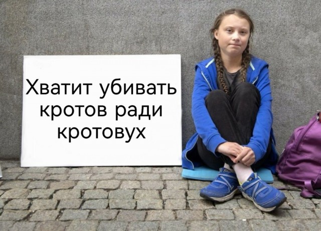 Мемы про кротовуху