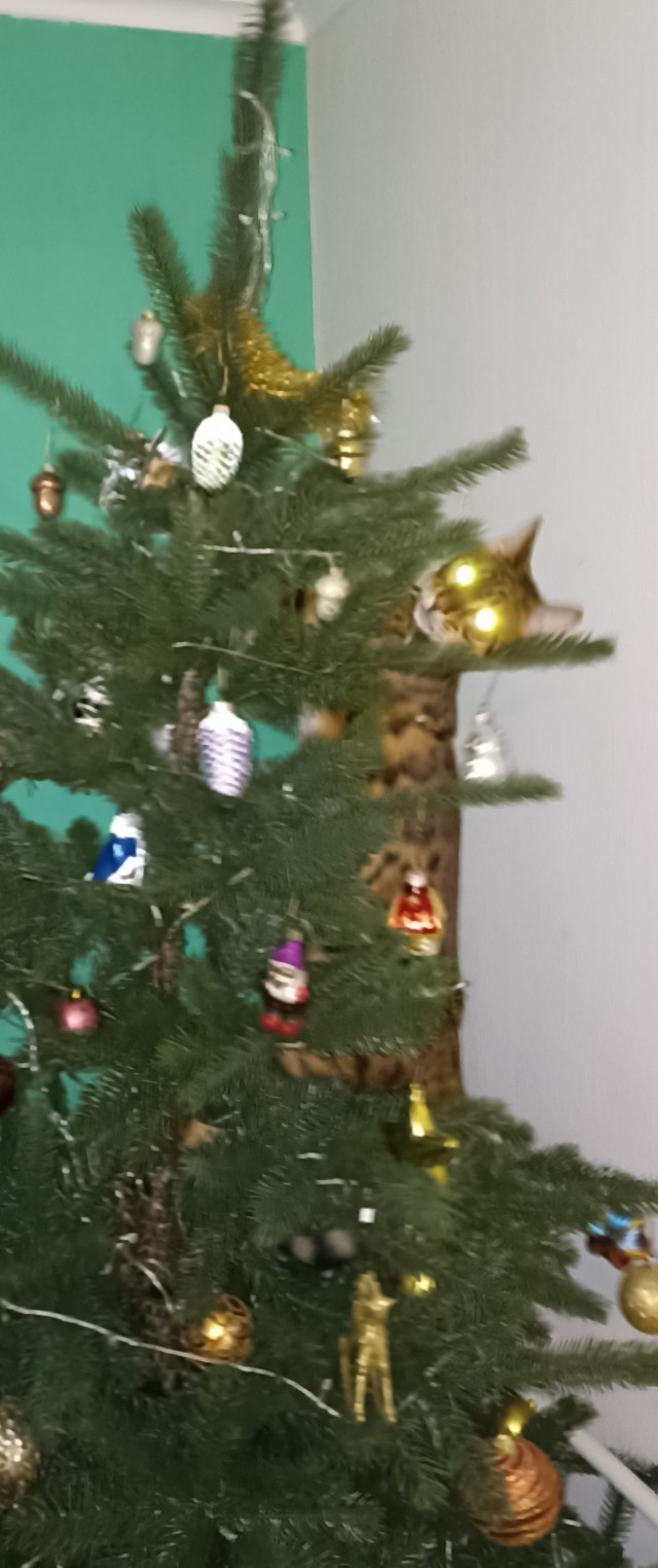 Новогодняя игрушка