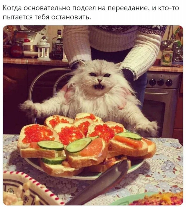 Картинки и мемы, выходные продолжаются