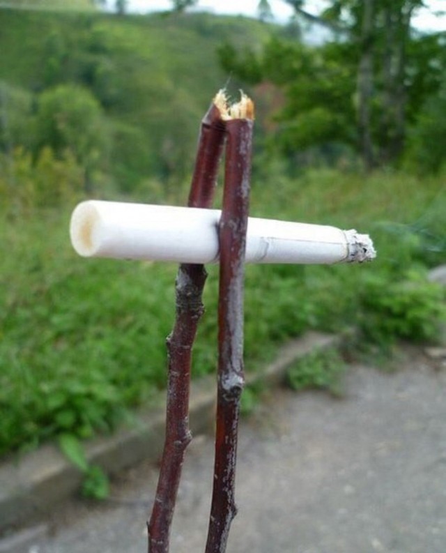Вспоминая добрые моменты