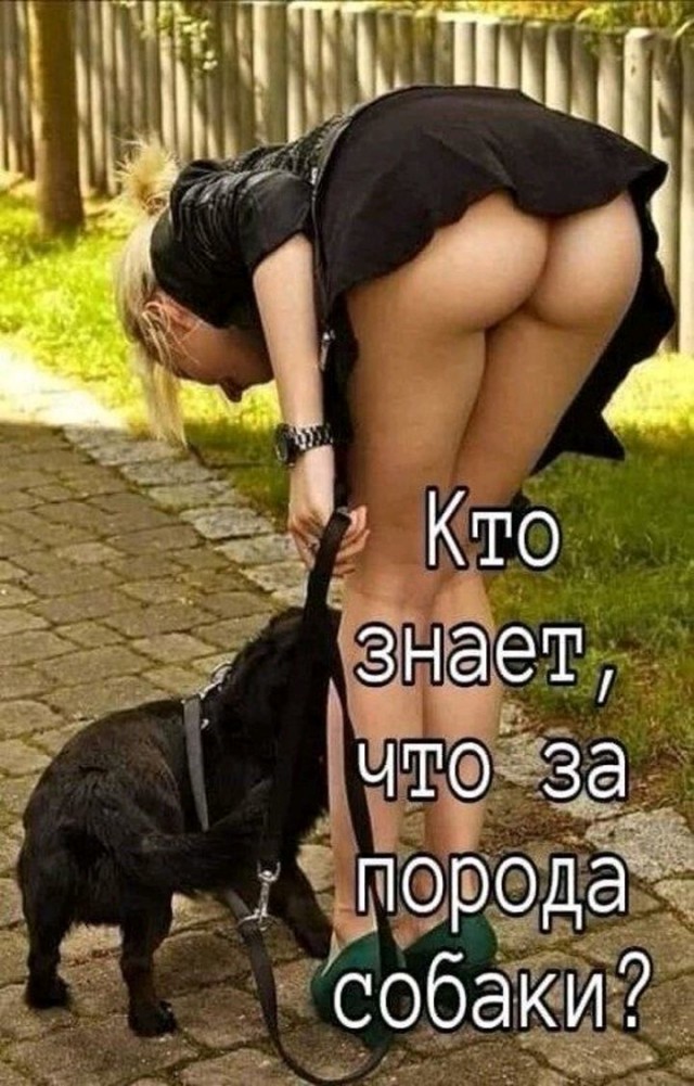 Картинки и мемы, всяко - 169