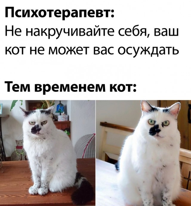Немного картинок для настроения - 177