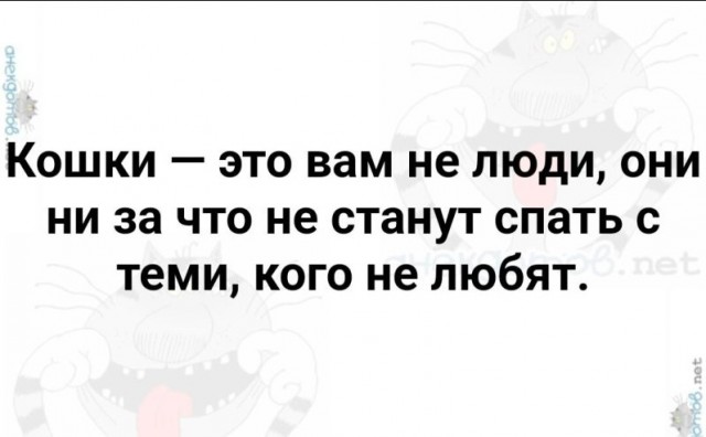 Дело было вечером, выпить было нечего...