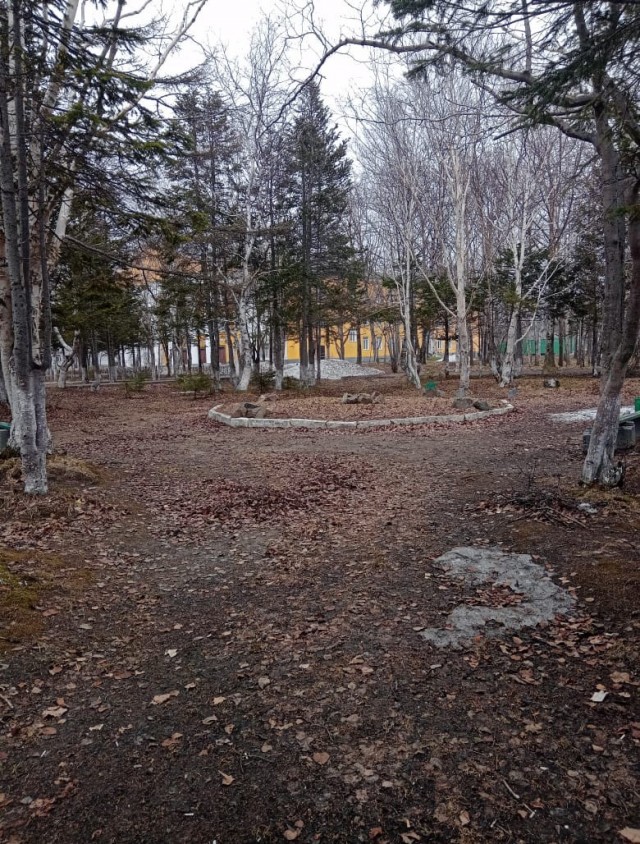 Толстолоб