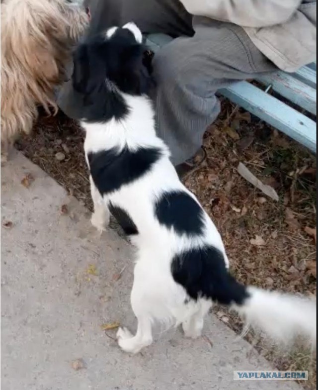 Маруся и Бим